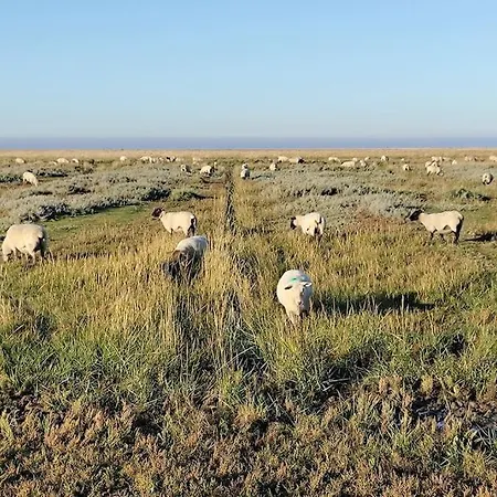 Deichkate - Auszeit An Der Nordsee *