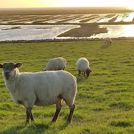 Deichkate - Auszeit An Der Nordsee Apartmán Friedrichskoog
